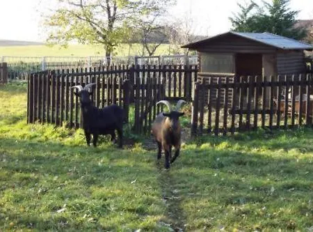 Hotel Zur Linde Weissbach (Saxony)